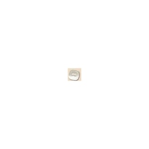 Mother of Pearl Square Flat Button BL0690S10